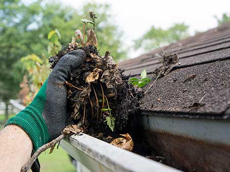 Gutter cleaning